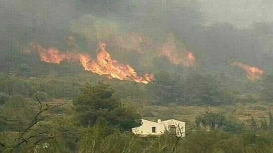 Behind our neighbour's house as published in El Pais the national Spanish newspaper